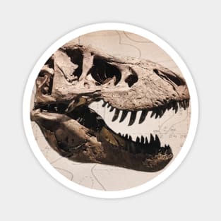 T Rex Skull - Dino Lover Magnet